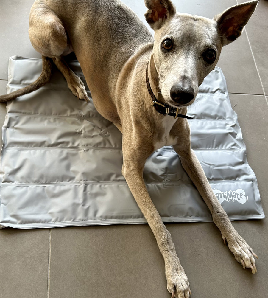 aniMate Dog Cooling Mat